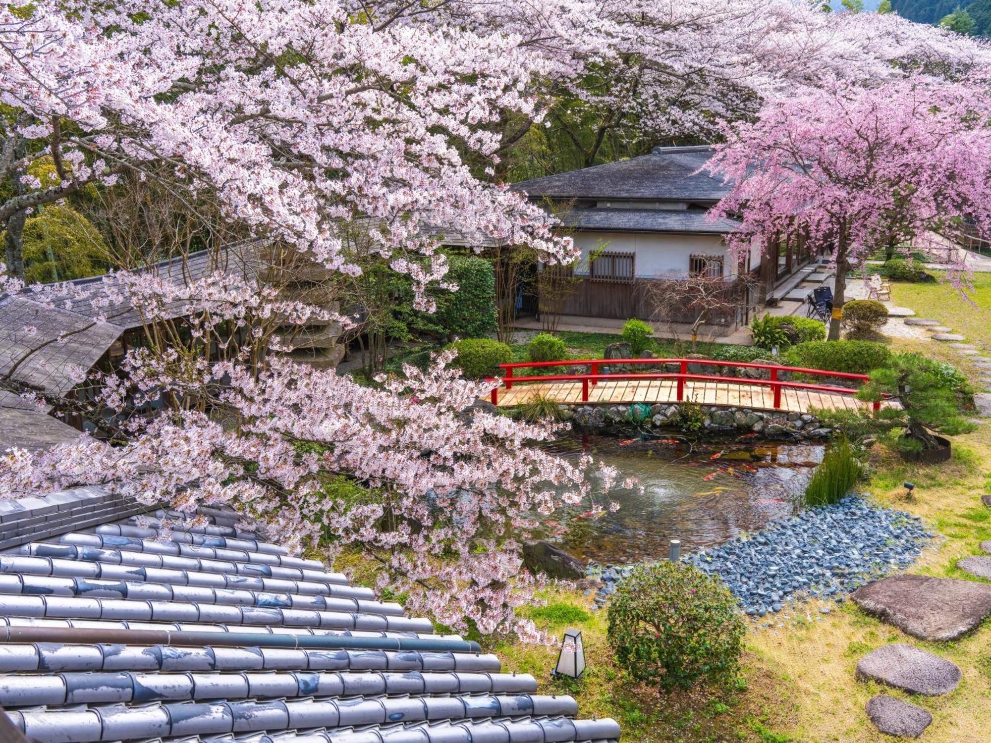 Oukai Villa Izumi Izumi  Kültér fotó